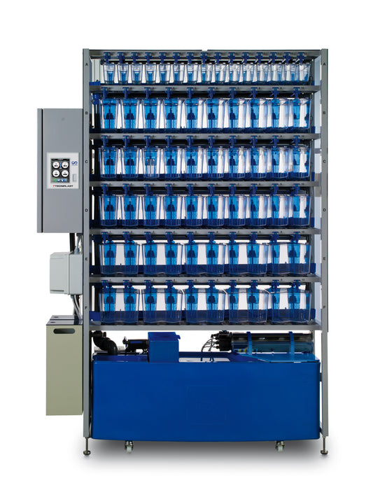 Active Blue Stand Alone Zebrafish Rack with 6 Rows with Enriched Runners