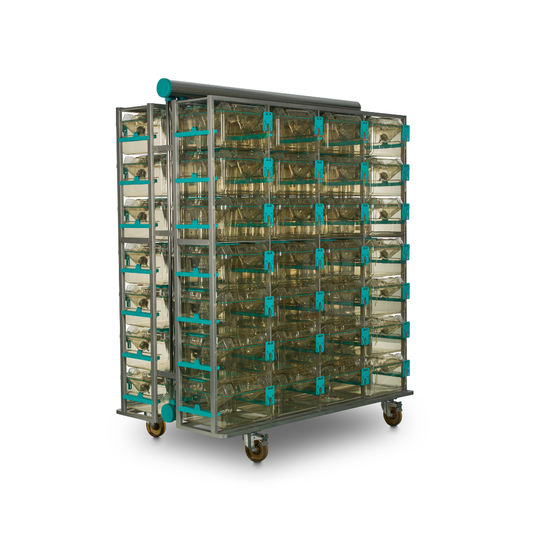 Individually Ventilated Cages (IVCs) for Rats