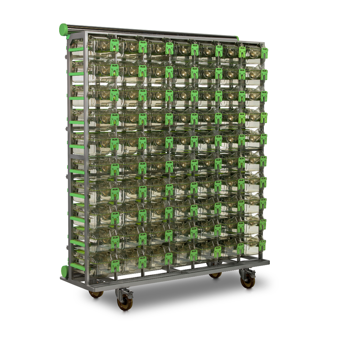 Single Sided Green Line GM500 Mouse Cage Rack with 80 Cage Places