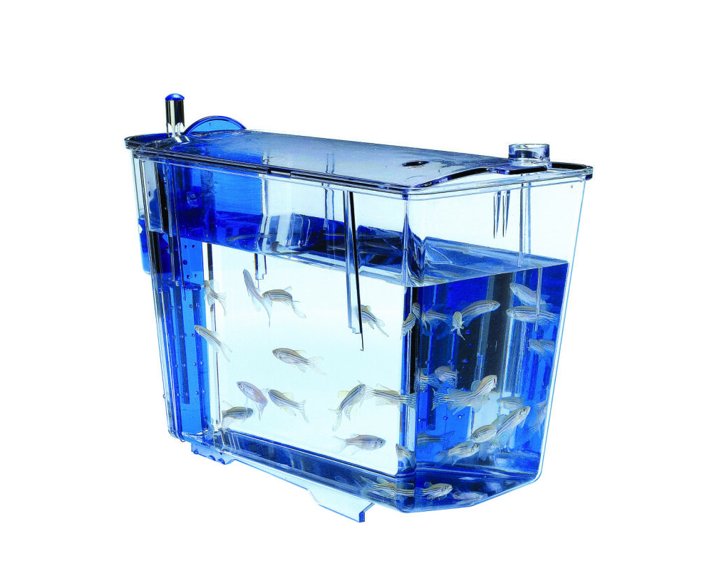 Zebrafish Tanks