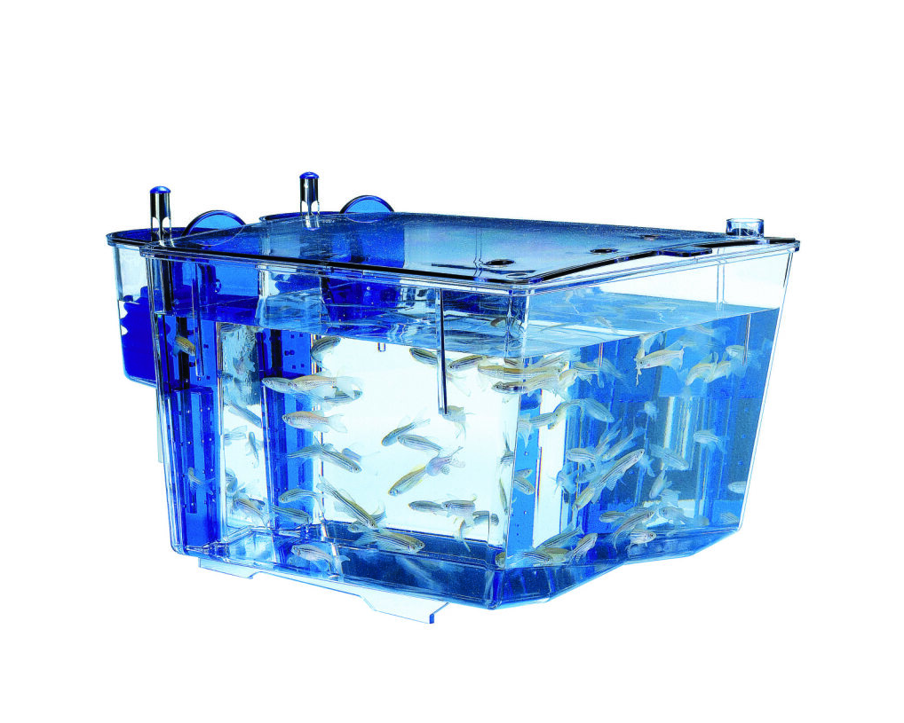 Zebrafish Tanks