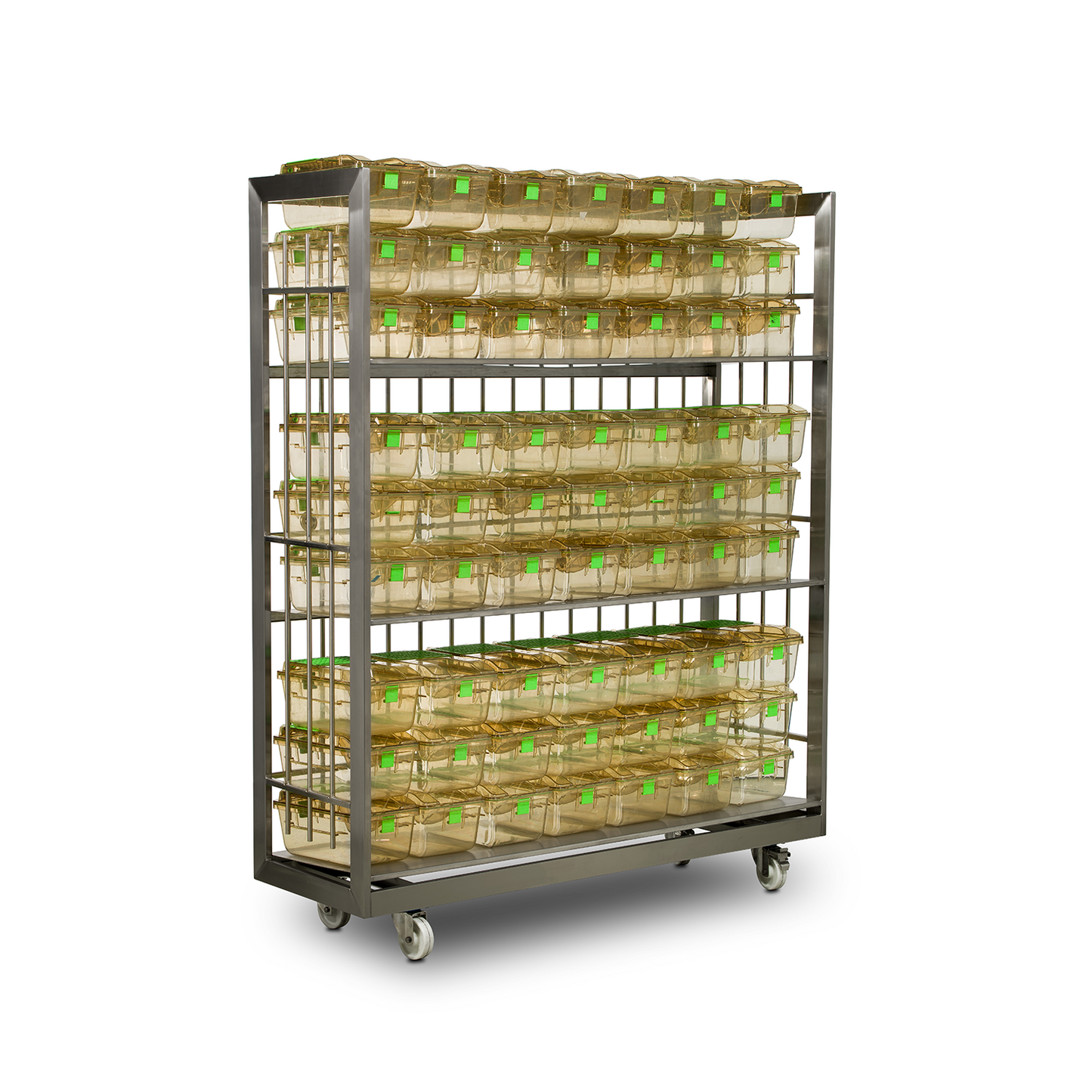 Tecniplast Logistics and Trolleys