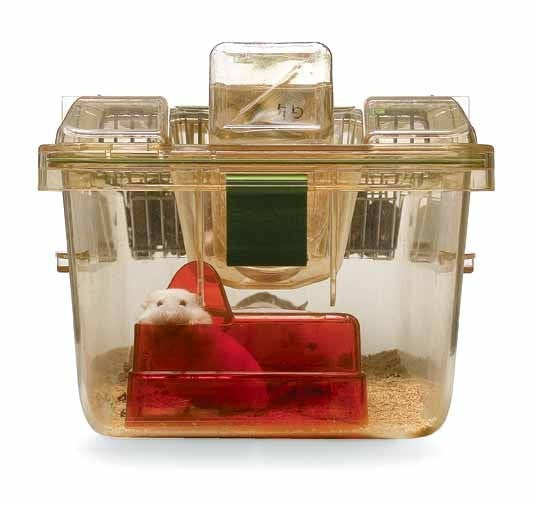 Mouse House