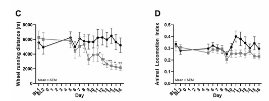 Advancing Pain Research Through Natural Behavior: How the University of Copenhagen Used the DVC® System to Study Cancer-Induced Bone Pain