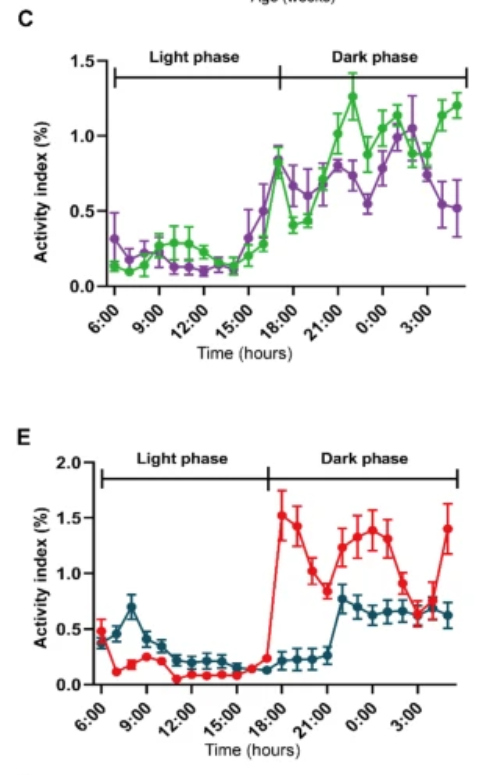 Sex-Specific Metabolic Stress in Early Alzheimer’s Disease: Insights from Preclinical Monitoring