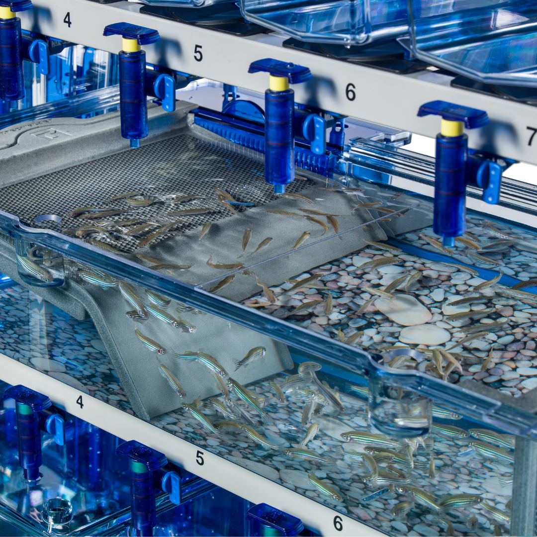 Microbiologic Detection Systems for Animal Research Facilities