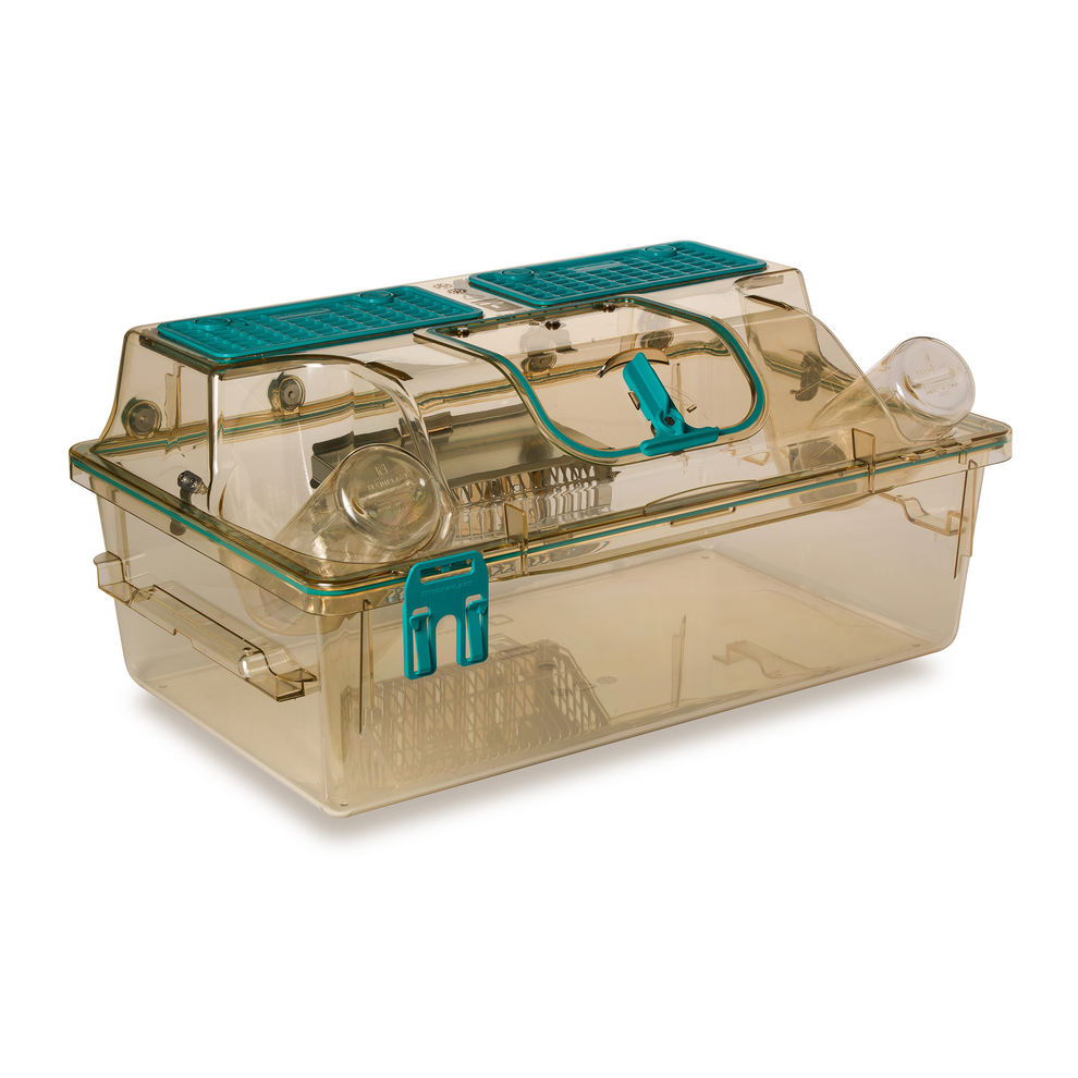 Open Caging Lab Tecniplast Individually Ventilated Cages (IVCs)