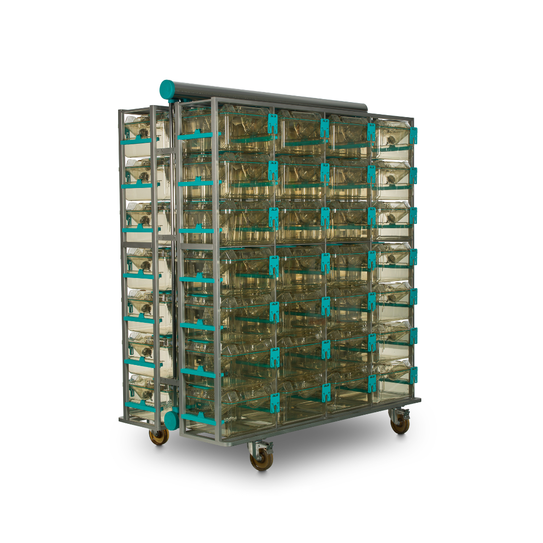 Individually Ventilated Cages (IVCs) for Rats