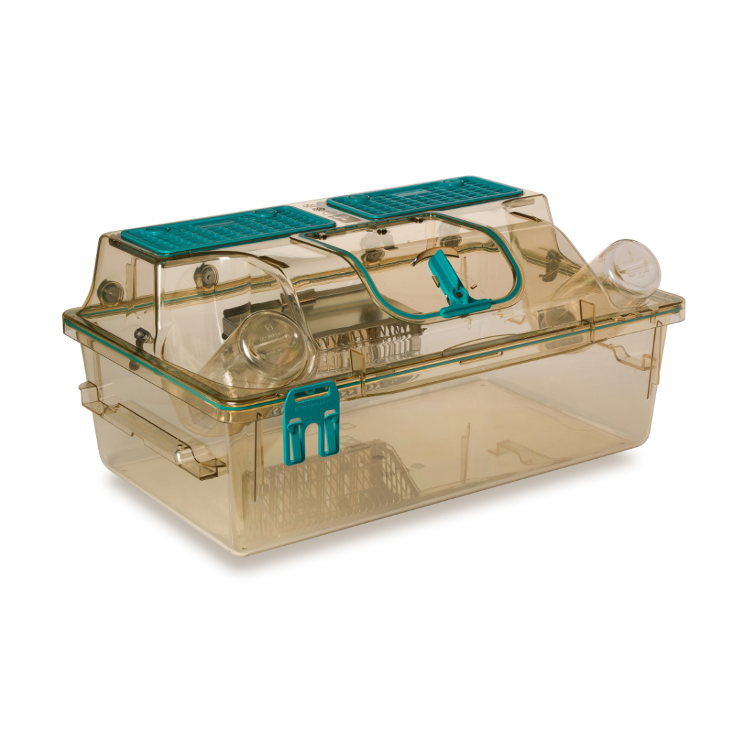 Individually Ventilated Cages (IVCs) for Rats