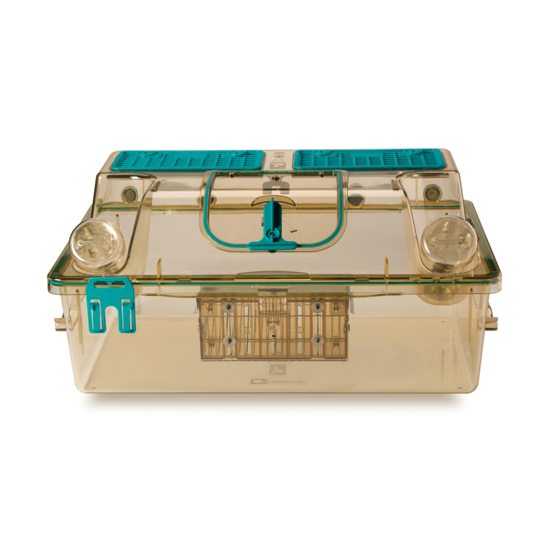 Individually Ventilated Cages (IVCs) for Rats