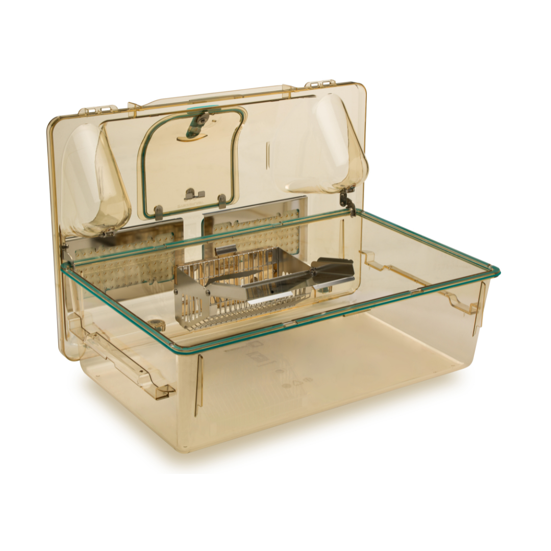 Individually Ventilated Cages (IVCs) for Rats