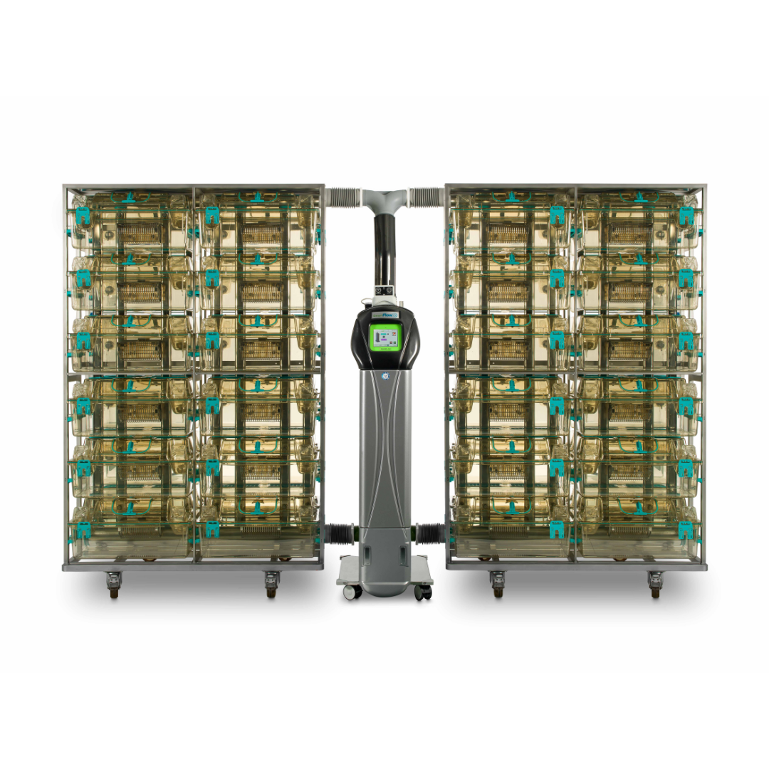 Individually Ventilated Cages (IVCs) for Rats