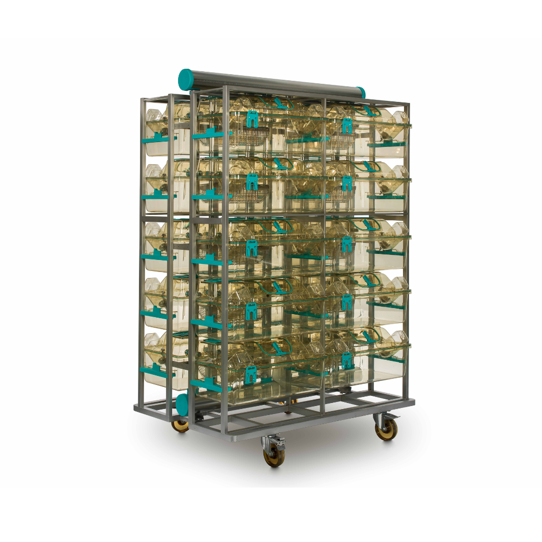 Individually Ventilated Cages (IVCs) for Rats