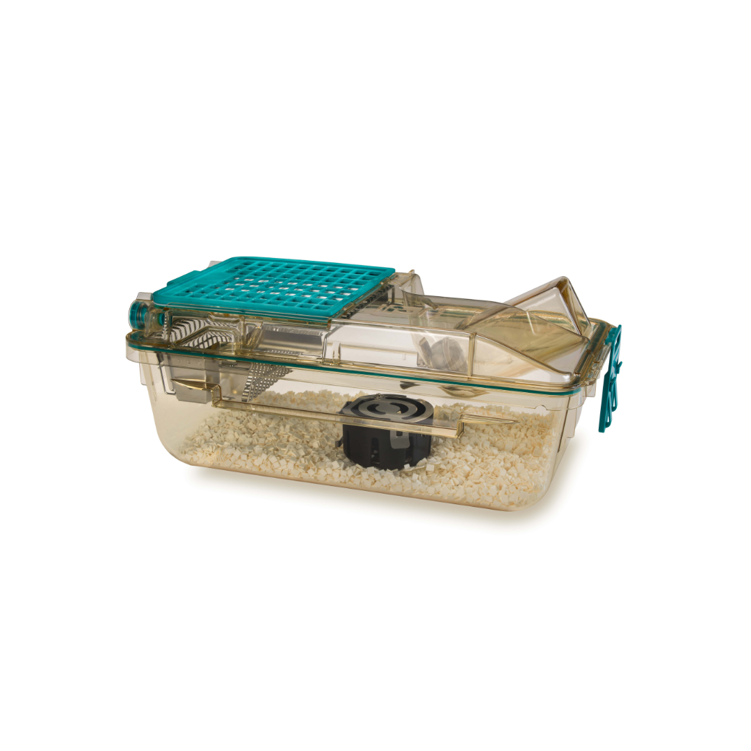 Field Mouse Box Mouse Box