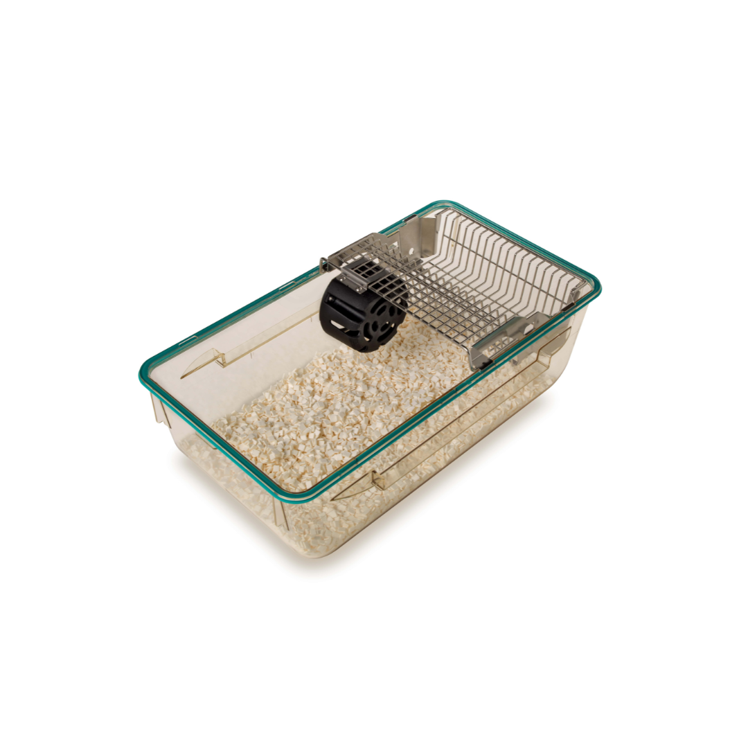 Field Mouse Box Mouse Box