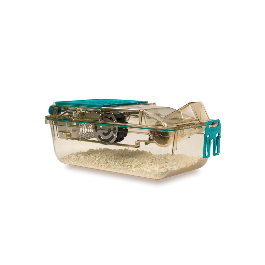 Field Mouse Box Mouse Box