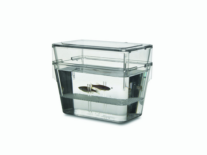0.7 Liter Zebrafish Breeding Tank
