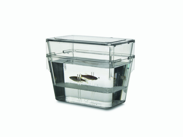 Active Blue Stand Alone Aquatics Racks