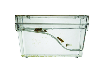 1.7 Liter Sloped Zebrafish Breeding Tank