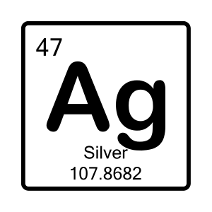 Silver Service Plan