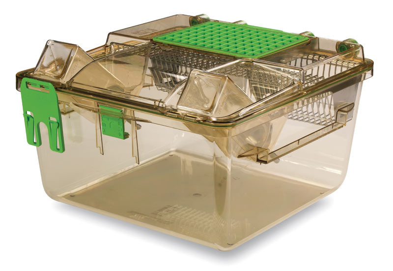 Single Sided Green Line Rat Cage Rack- 35 Positions Includes GR900 Cages