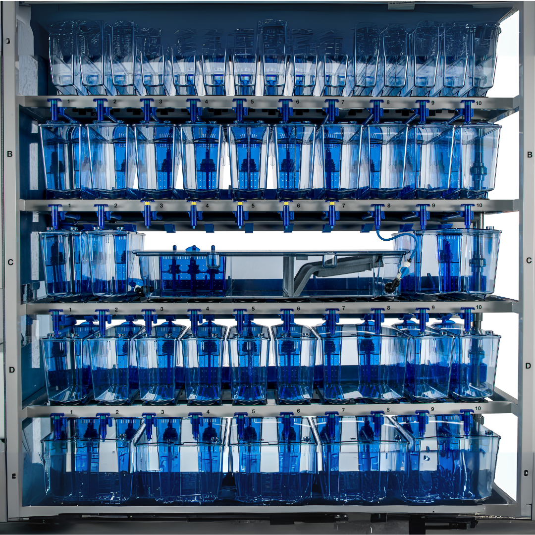 Z-Park Zebrafish Tank
