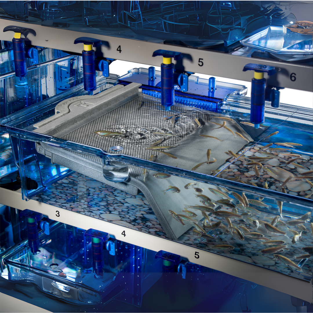 Z-Park Zebrafish Tank